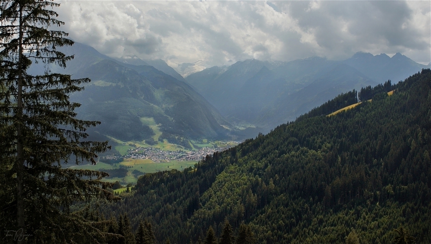 Forests and Mountains