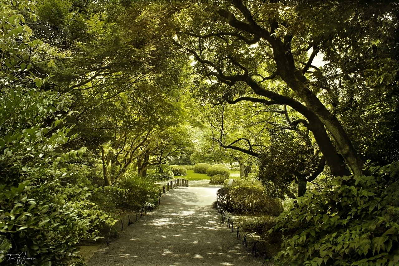 Shinjuku Gyoen Garden II