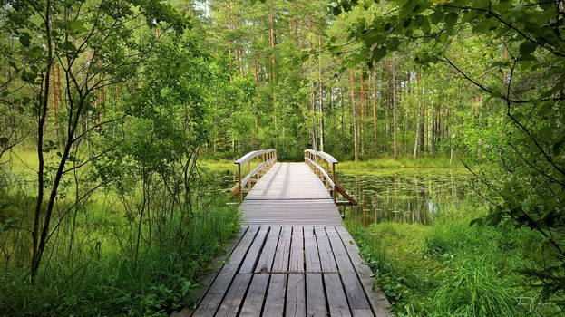 Wooden Bridge