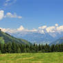 Trees and Mountains