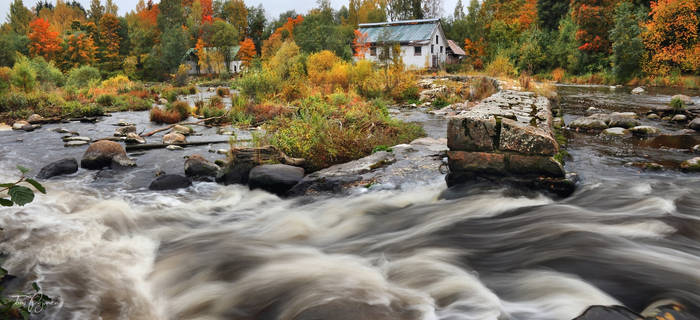 House by the River II