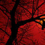 Crow Tree Silhouette II
