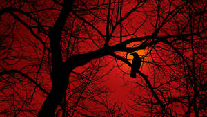 Crow Tree Silhouette II