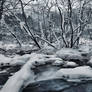 Snowy River II