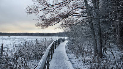 November Walk