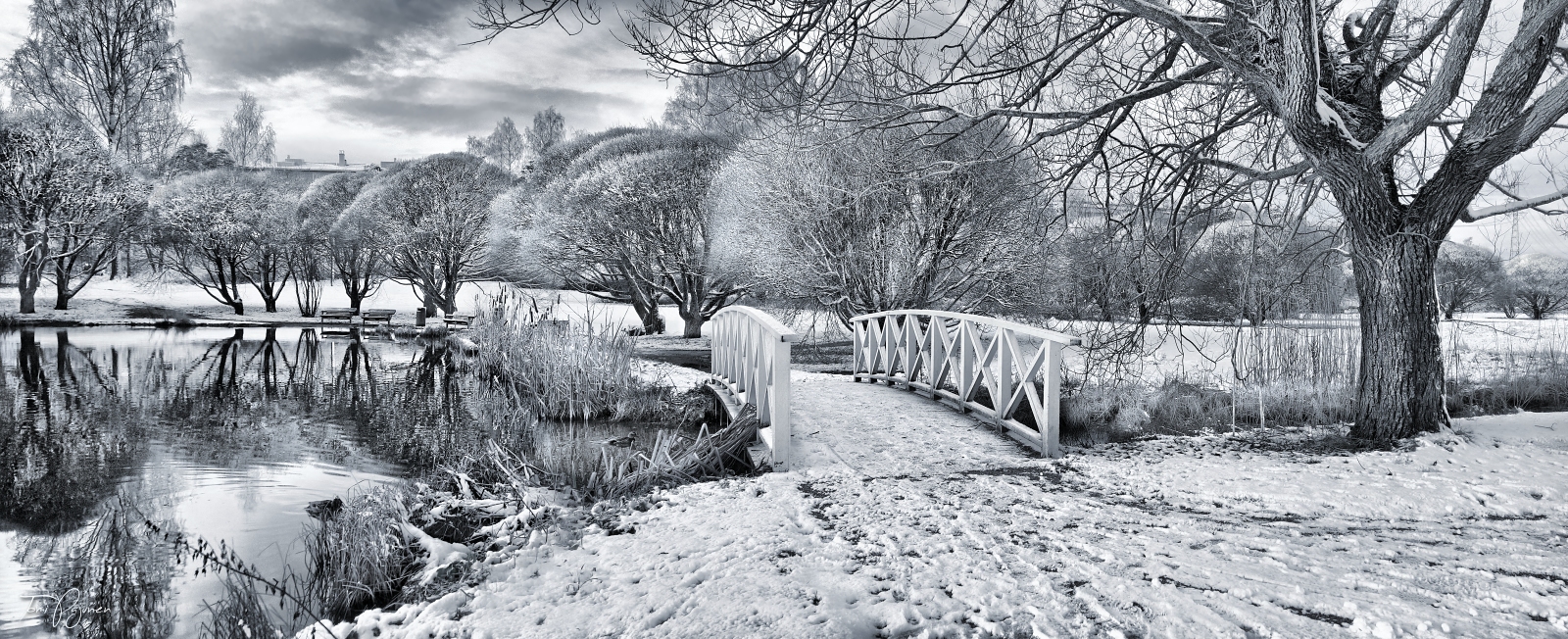 Walk in the park III by Pajunen