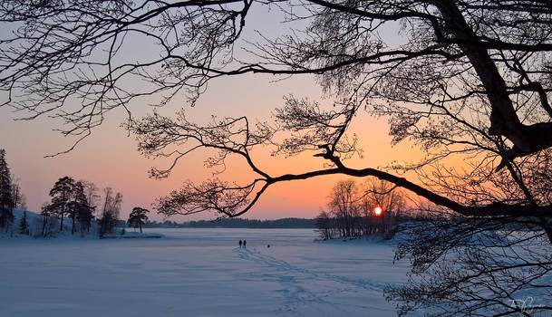 February Evening