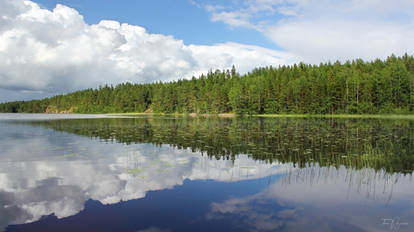 Lake view