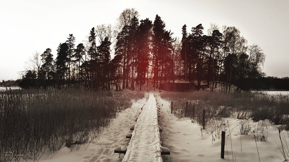 Trail to the island, revisited by Pajunen