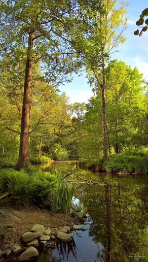 A spring day at the park by Pajunen