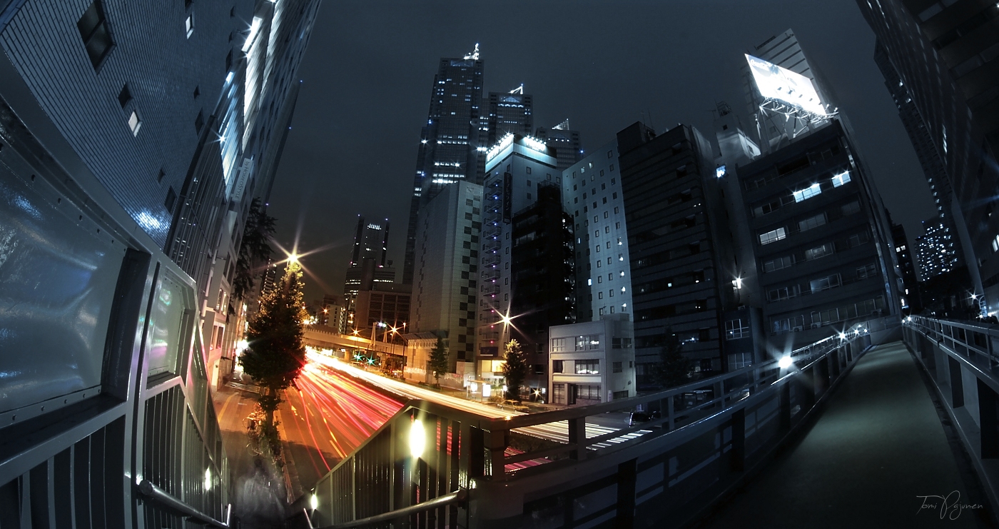 Nocturnal Encounters by Pajunen