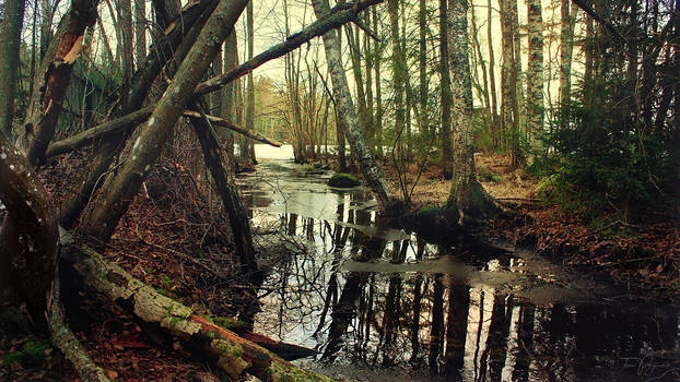 Waterway to frozen lake