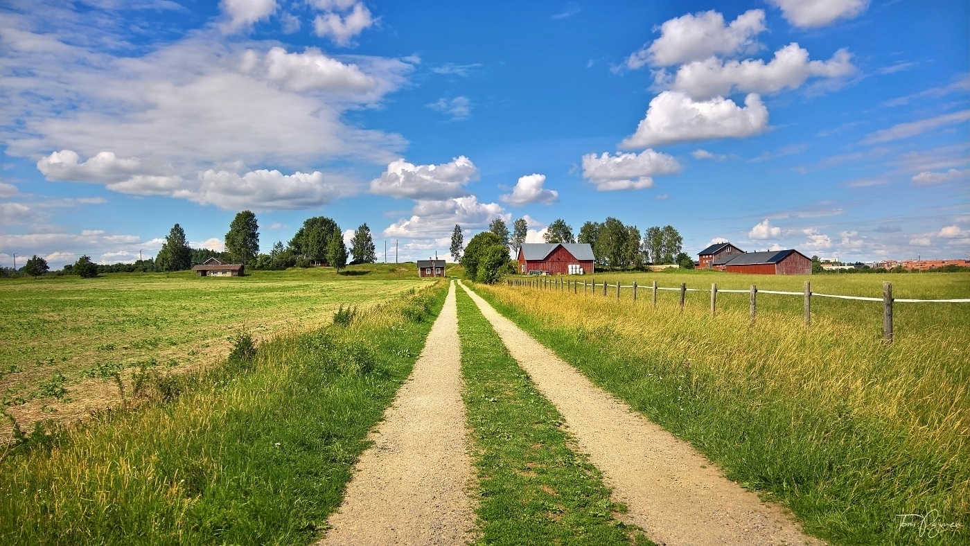 Bright summer day by Pajunen