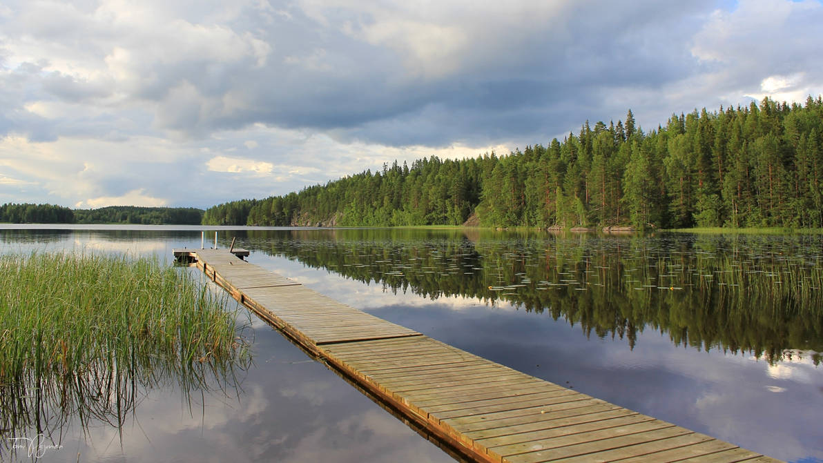 Summer in Finland by Pajunen