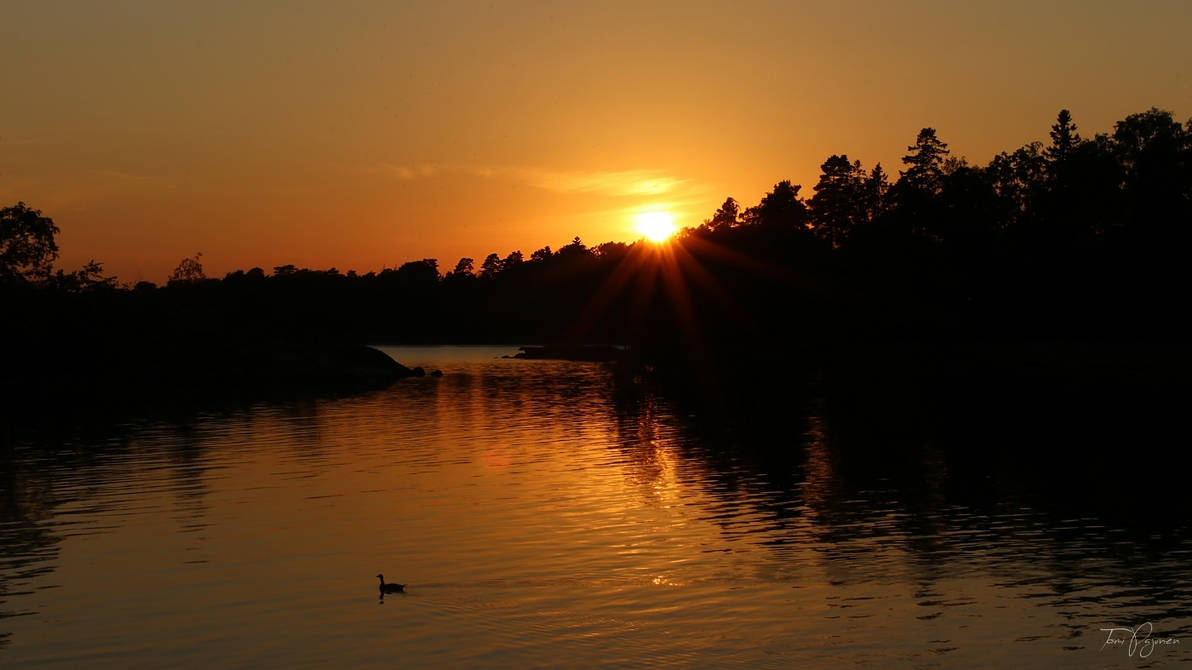 Golden Sunset by Pajunen
