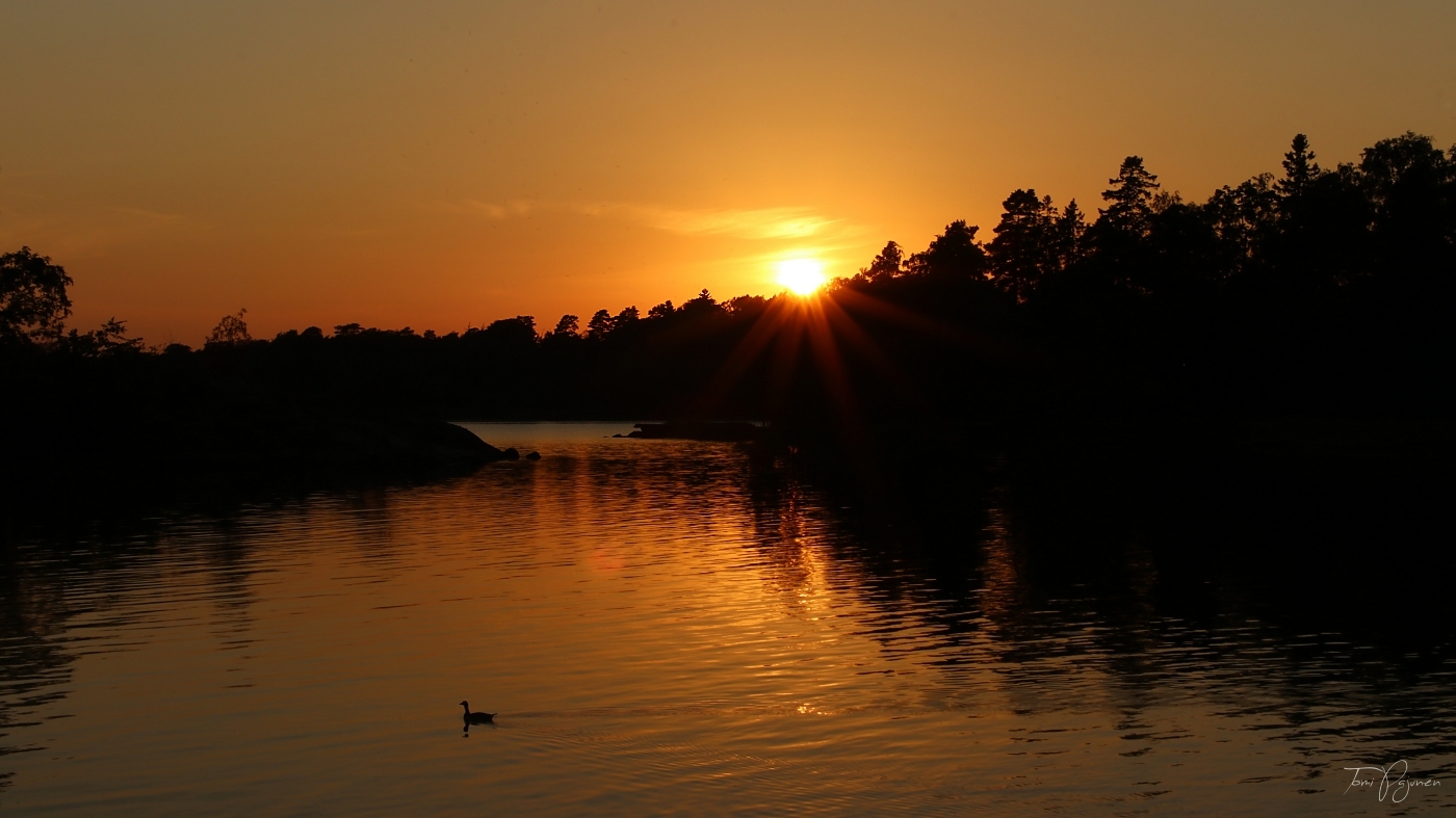 Golden Sunset by Pajunen