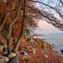 October Seashore