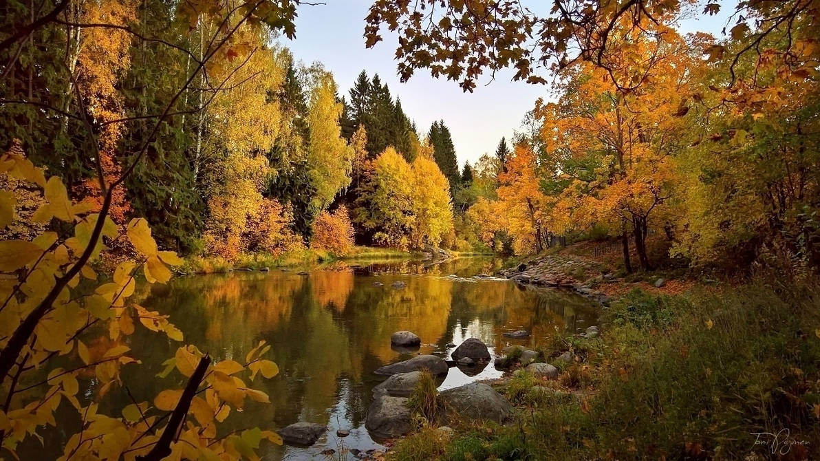October River II by Pajunen