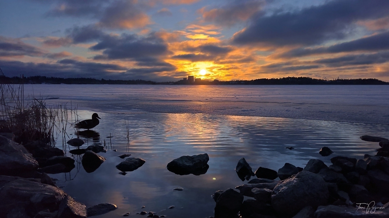 January sunset II by Pajunen