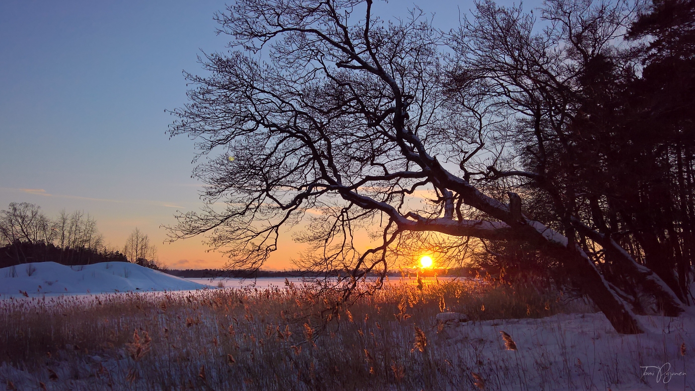 Winter Evening by Pajunen