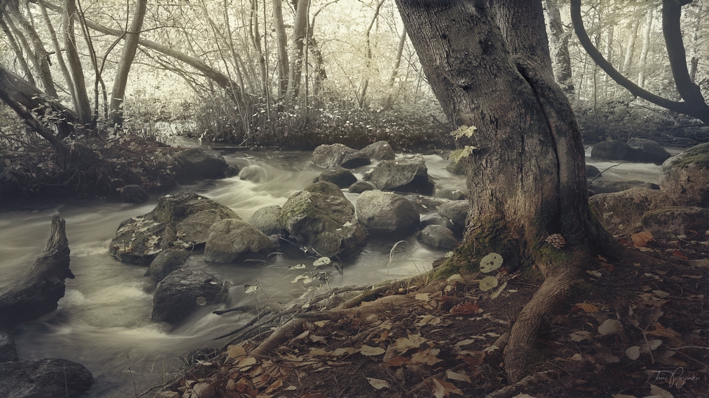 River Down Below by Pajunen