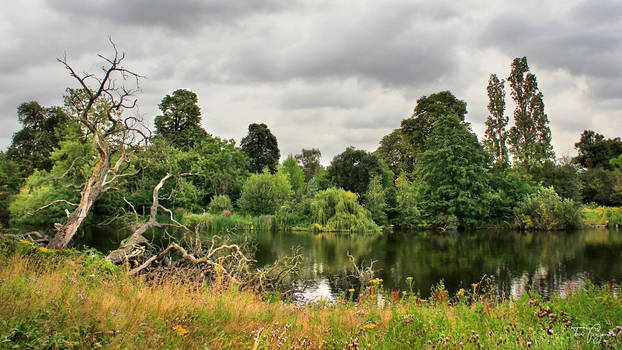 Hyde Park London