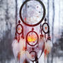 Dream Catcher