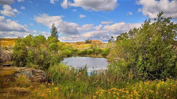 Island Pond