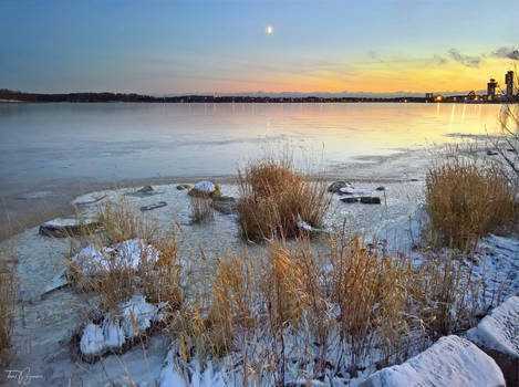 Frozen Seashore