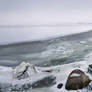 Frozen seashore