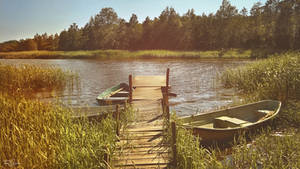 Rowboats in Helsinki