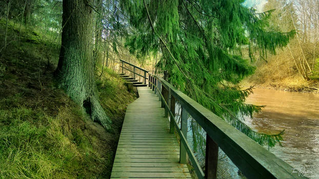 Trail by the river