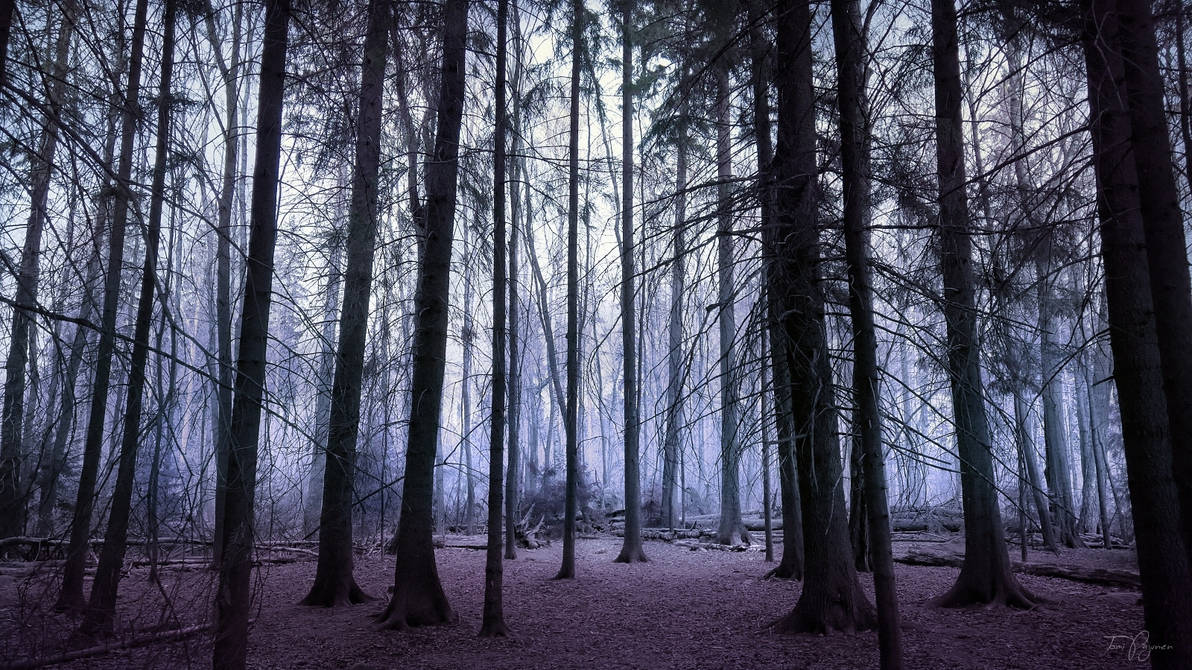 Black trees by Pajunen on DeviantArt