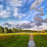 Path to the sea bay