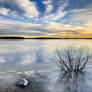 Frozen seashore