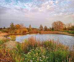 Seashore pond