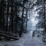 Winter Day