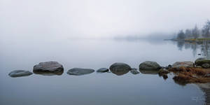 Foggy Seashore