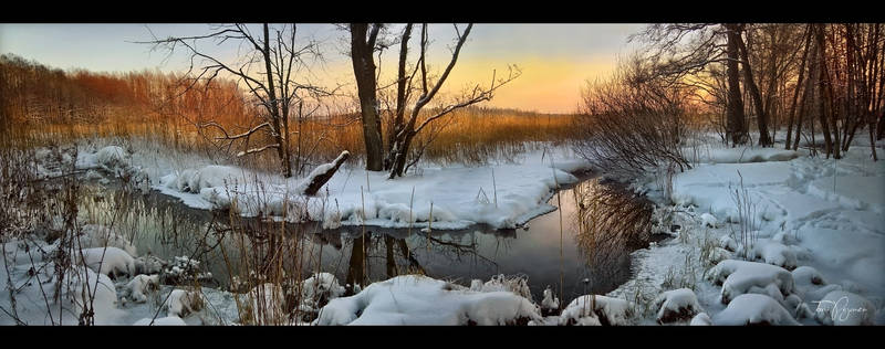 A small creek in winter