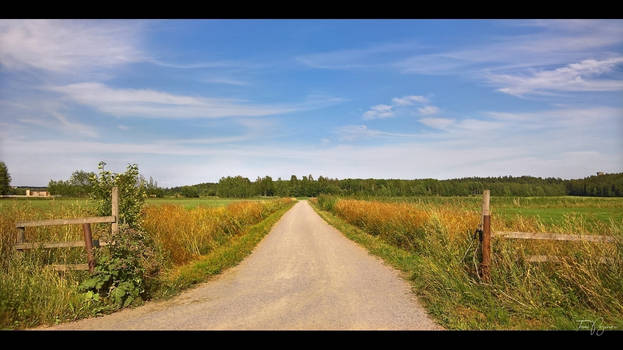 Country Road