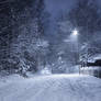 Winter Night