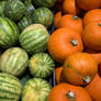 Pumpkins and watermelons