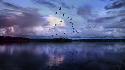 Evening Flight