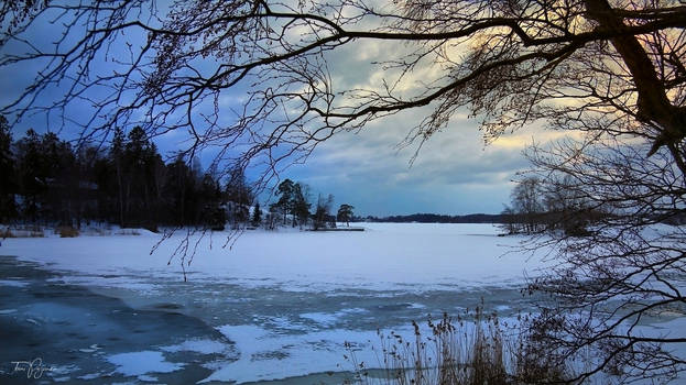 An evening in March