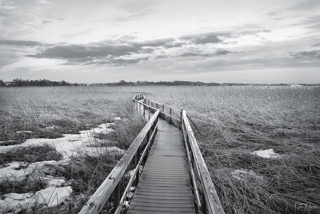 Path through the reeds by Pajunen on DeviantArt