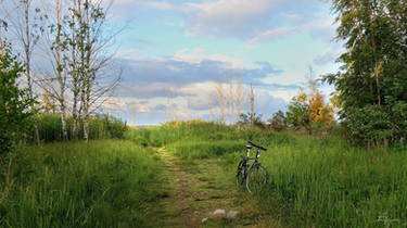 Summer bike