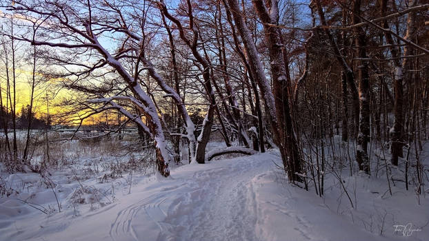 Snowy path