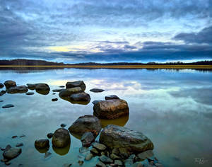 Seashore stones