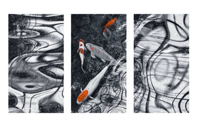 Koi