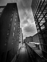 Back Alley